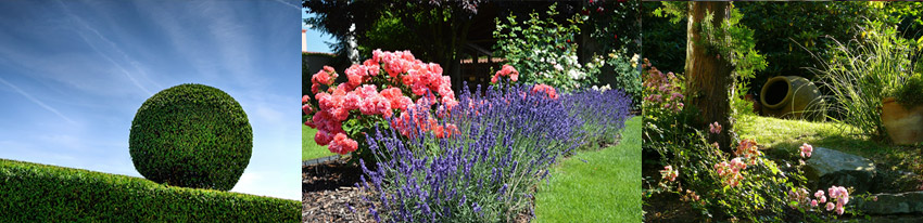 plantations aménagement de jardins près de Beaucouzé, Montreuil-Juigné