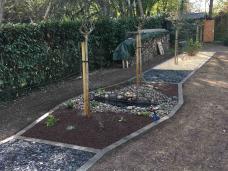 paysagiste, aménagement de jardin Angers, Montreuil Juigné, Avrillé